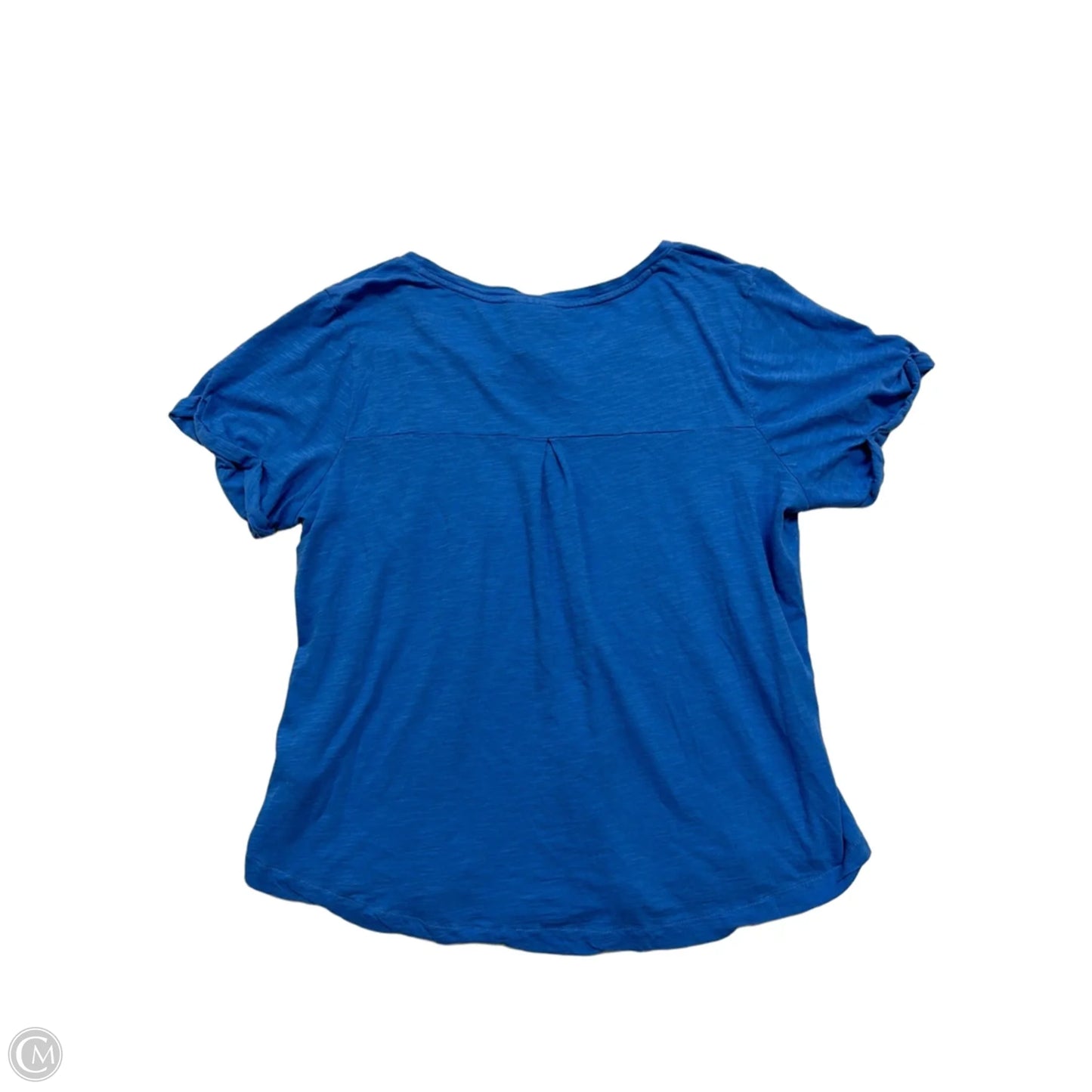 Top Short Sleeve By Style And Company In Blue, Size: 1x