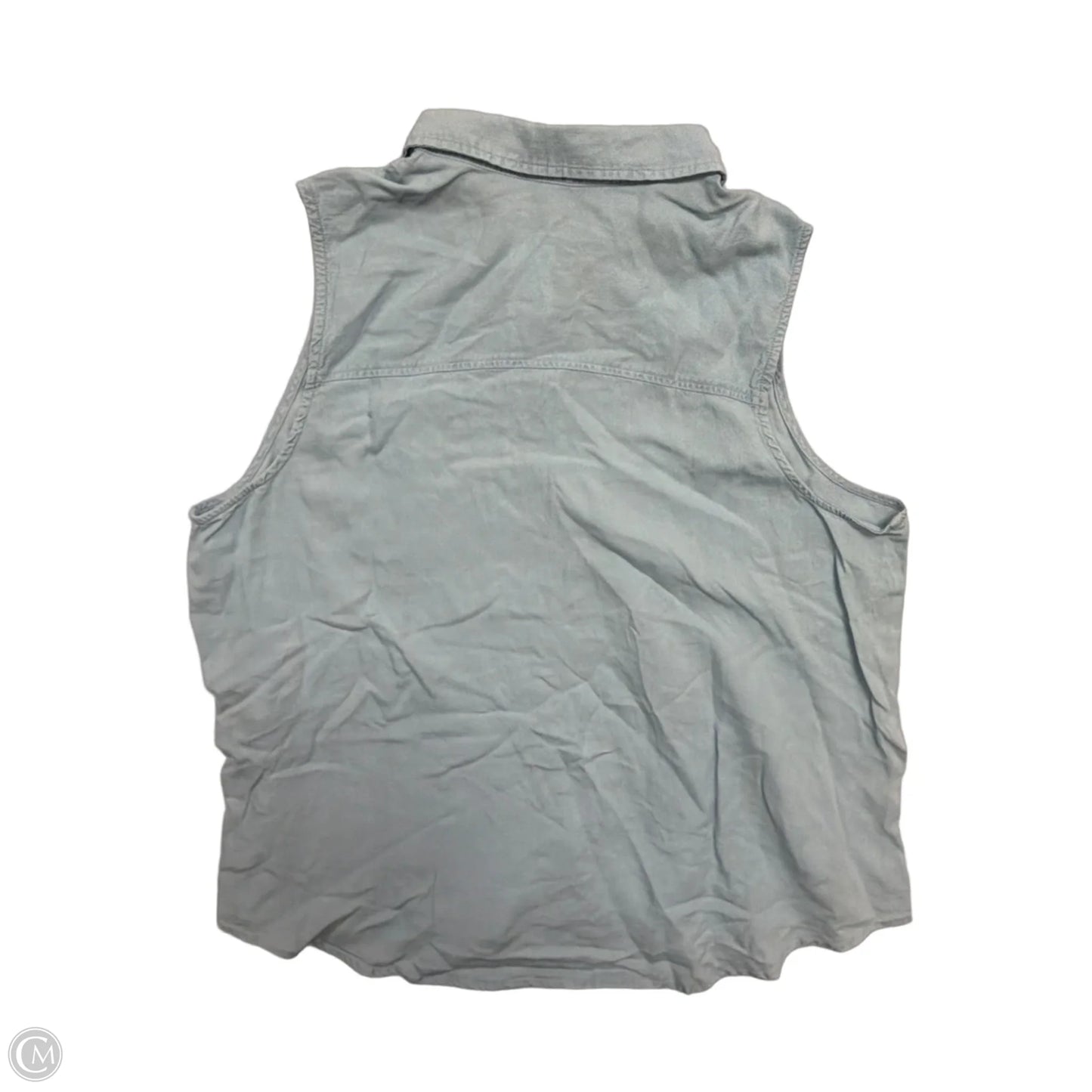Top Sleeveless By Time And Tru In Blue, Size: Xl