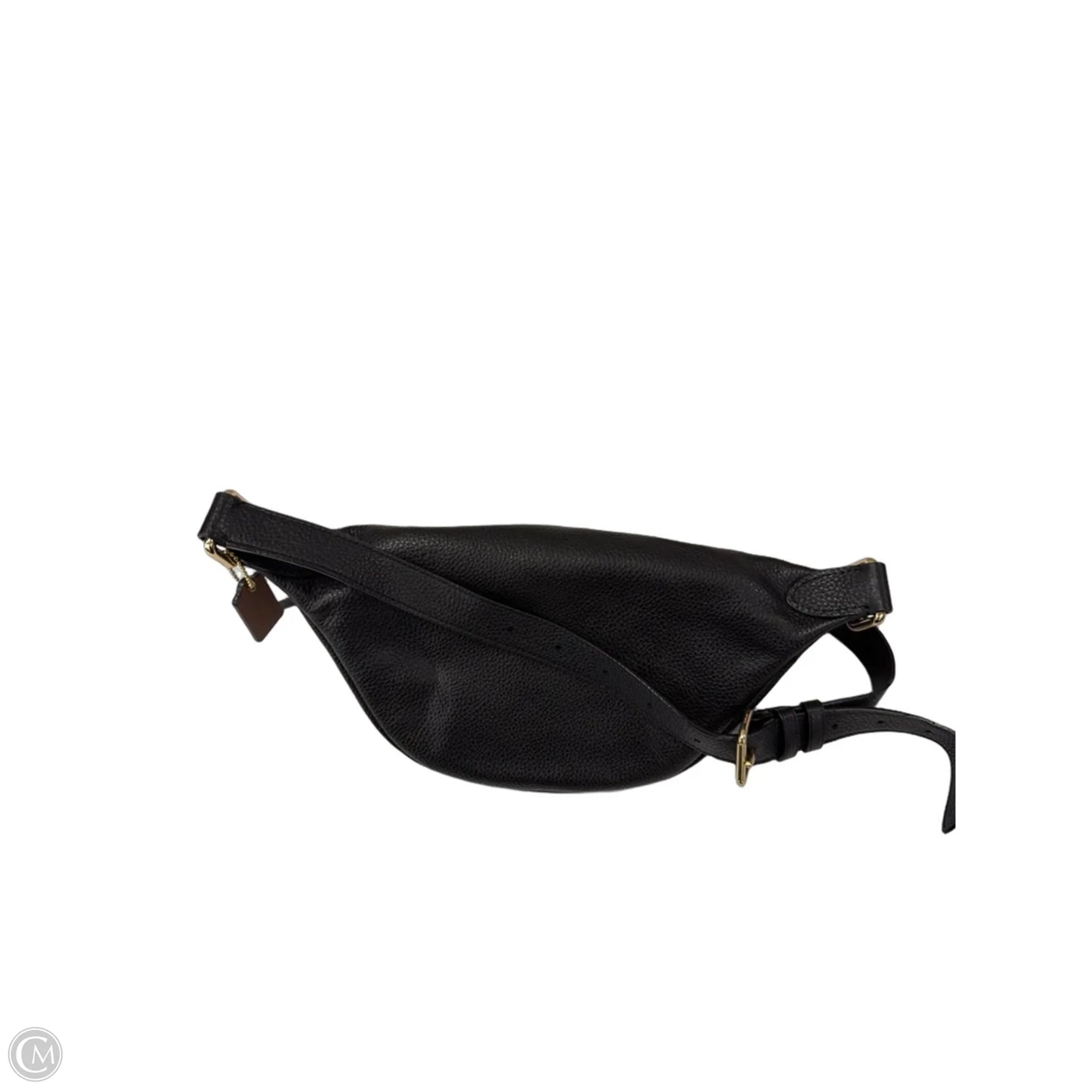 Belt Bag Designer By Coach, Size: Large