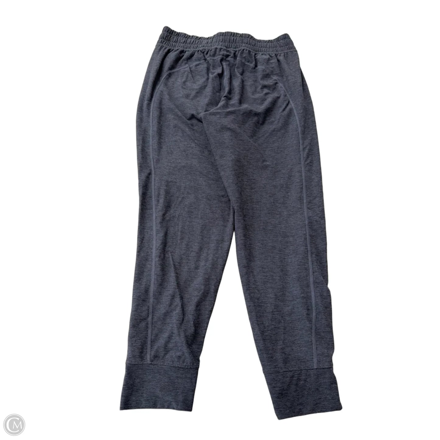 Athletic Pants By Flx In Blue, Size: M