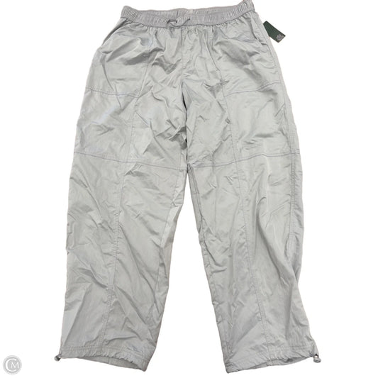 Athletic Pants By Wild Fable In Grey, Size: 2x
