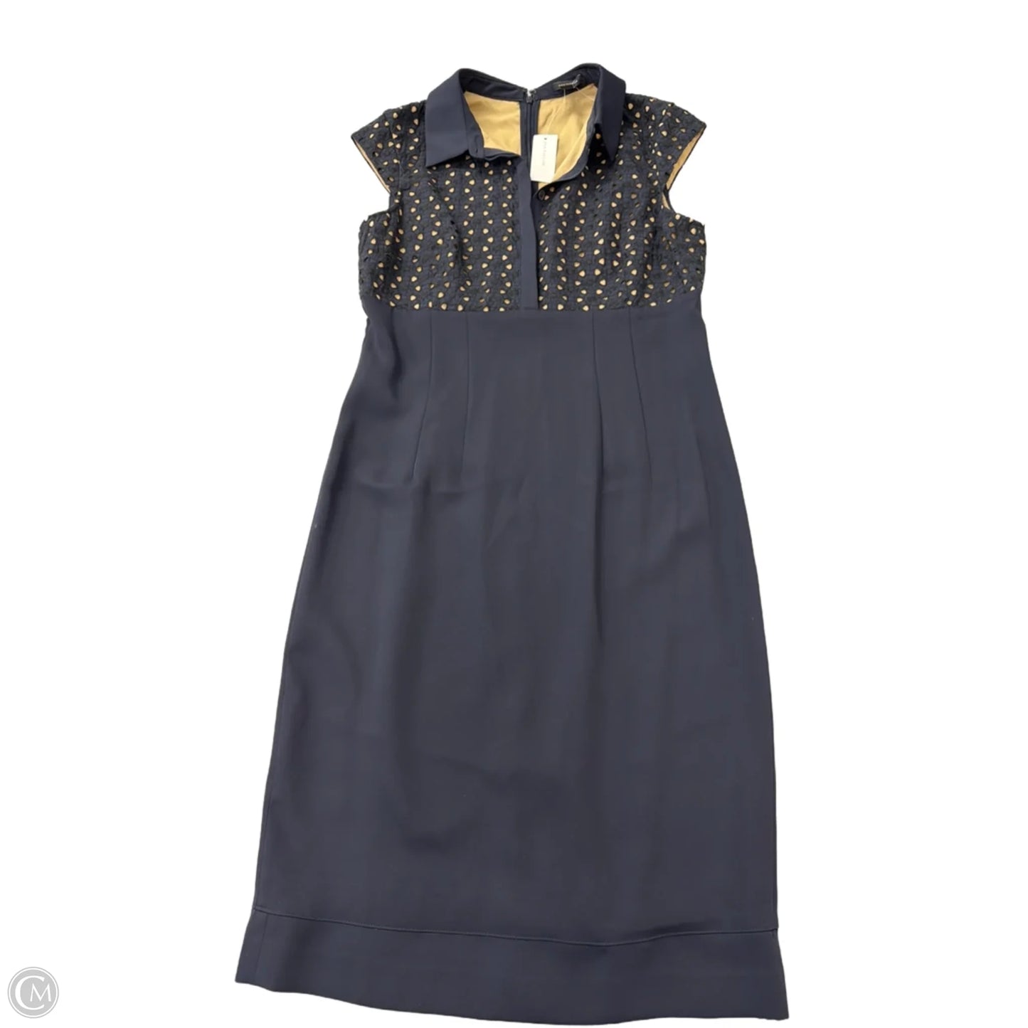 Dress Work By Ann Taylor In Navy, Size: S