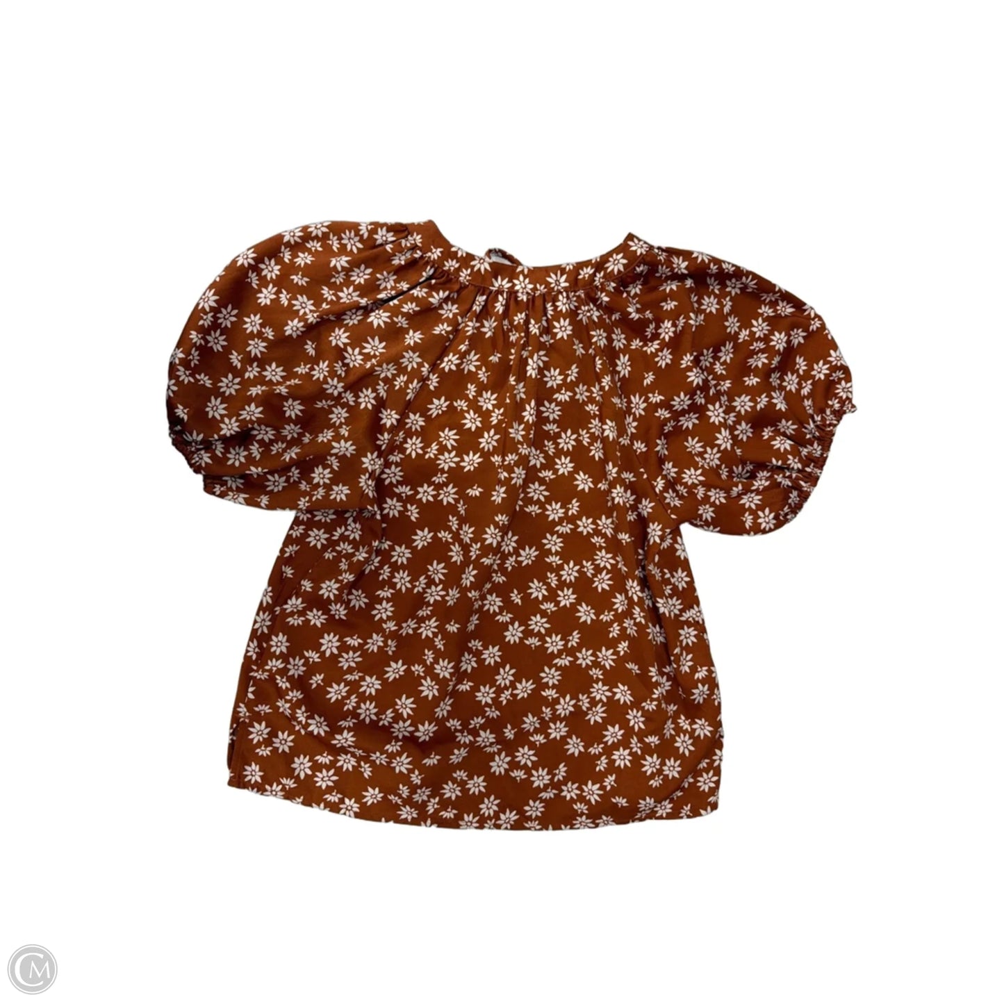 Top Short Sleeve By Loft In Brown & White, Size: Xxs