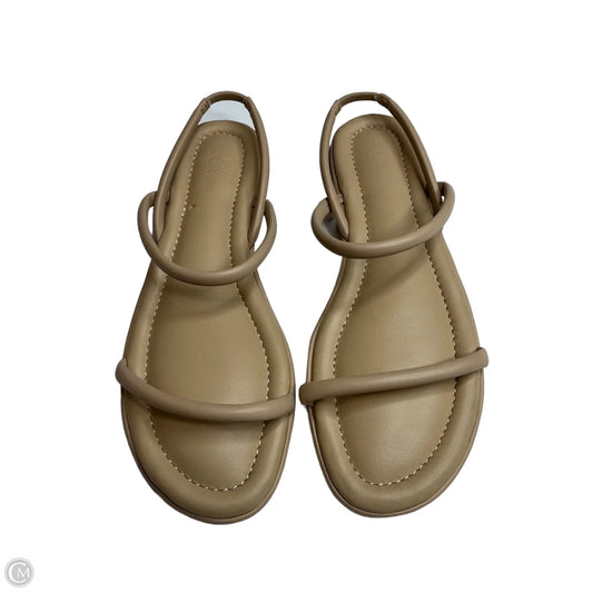 Sandals Flats By J. Crew In Tan, Size: 10