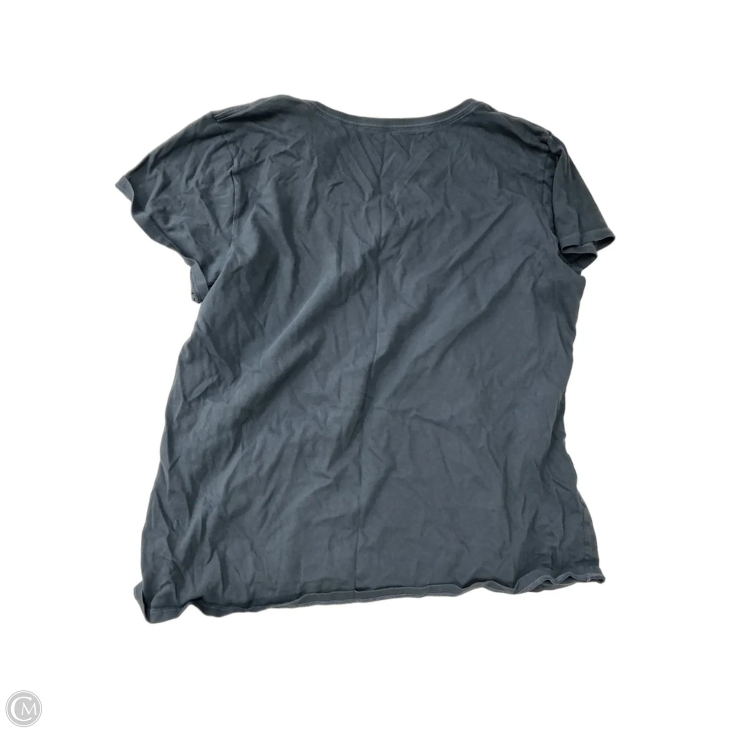 Top Short Sleeve By Life Is Good In Blue, Size: Xl