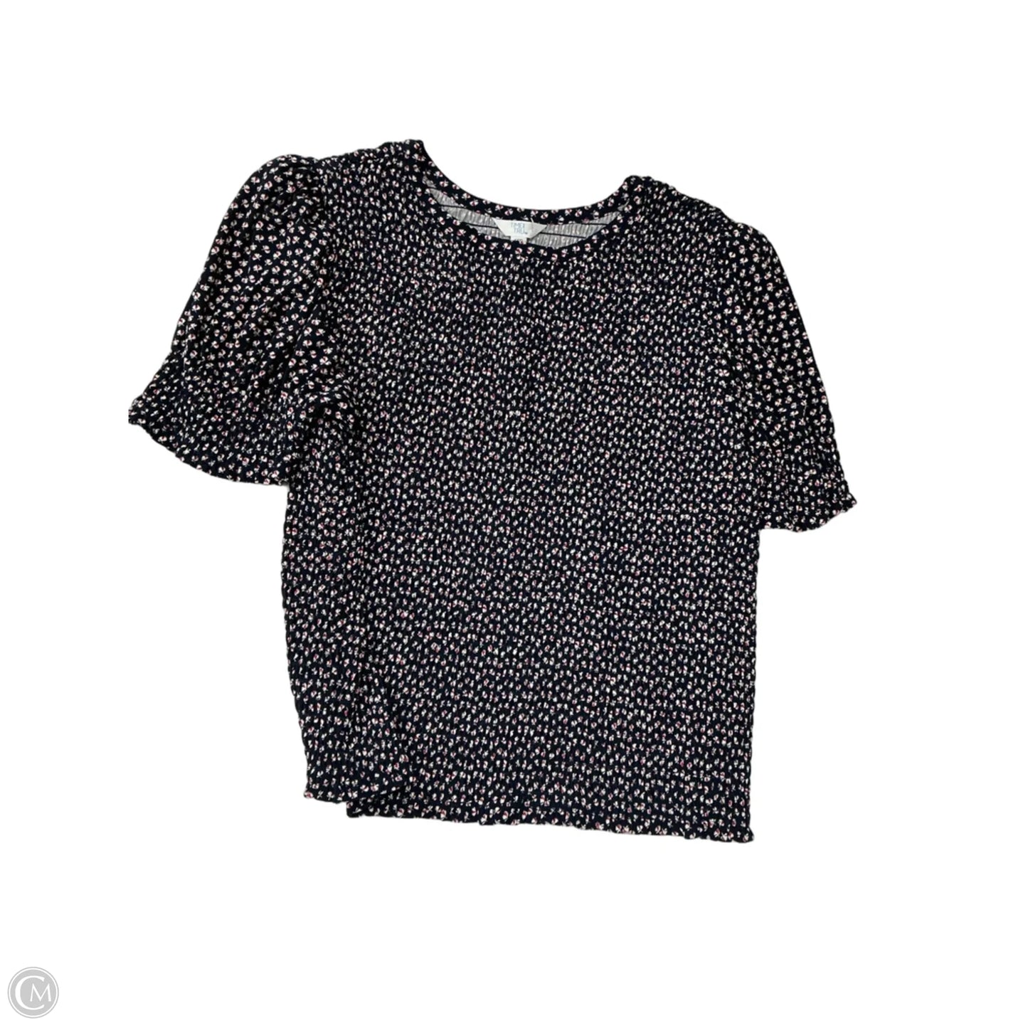 Top Short Sleeve By Time And Tru In Blue, Size: 2x