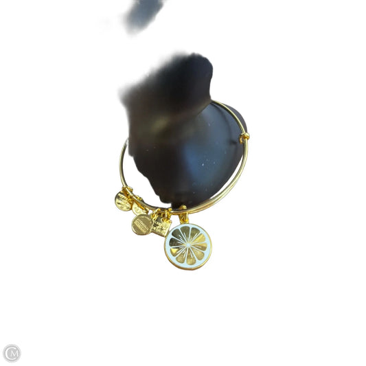 Bracelet Charm By Alex And Ani