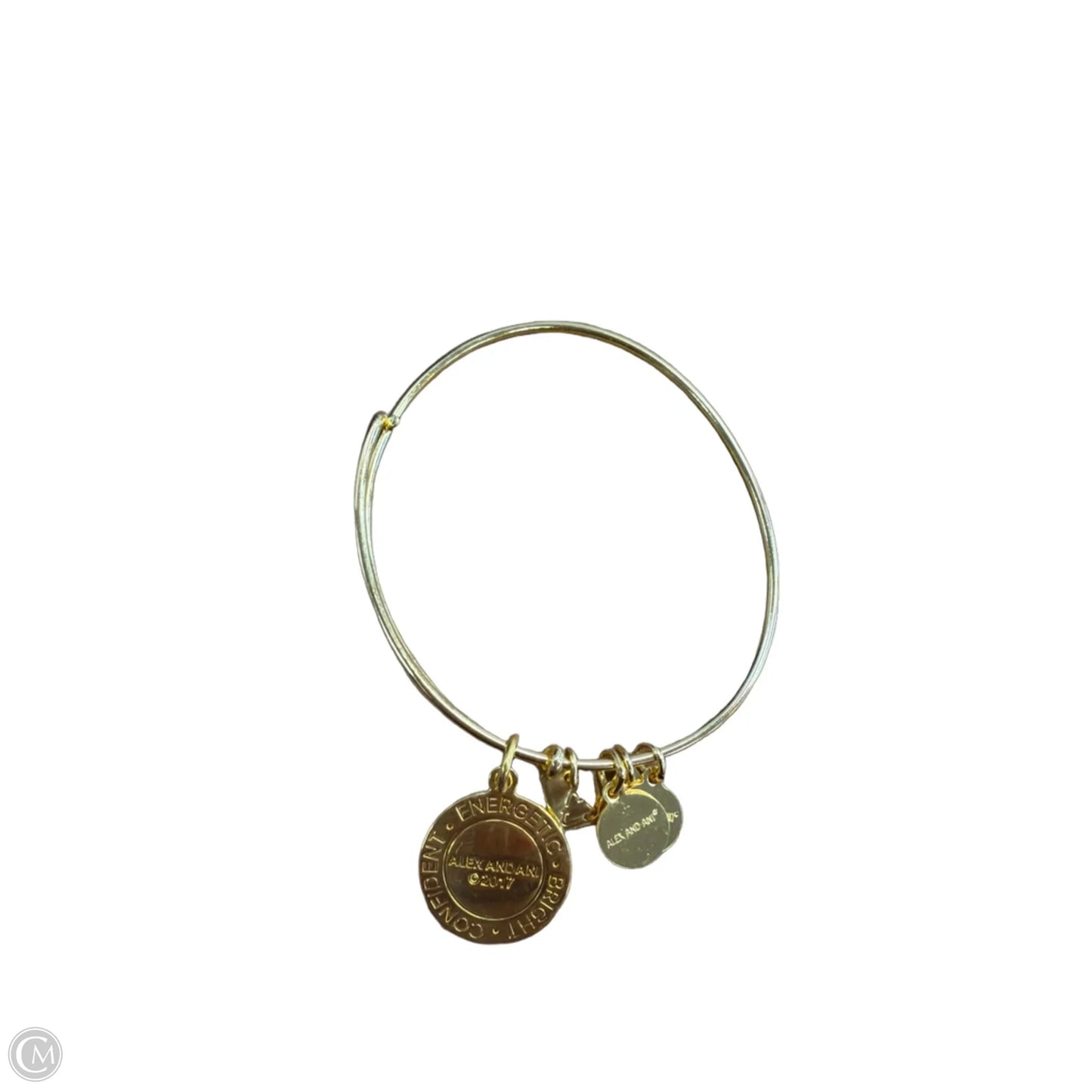 Bracelet Charm By Alex And Ani