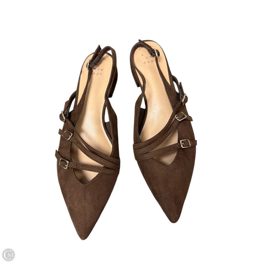 Shoes Flats By A New Day In Brown, Size: