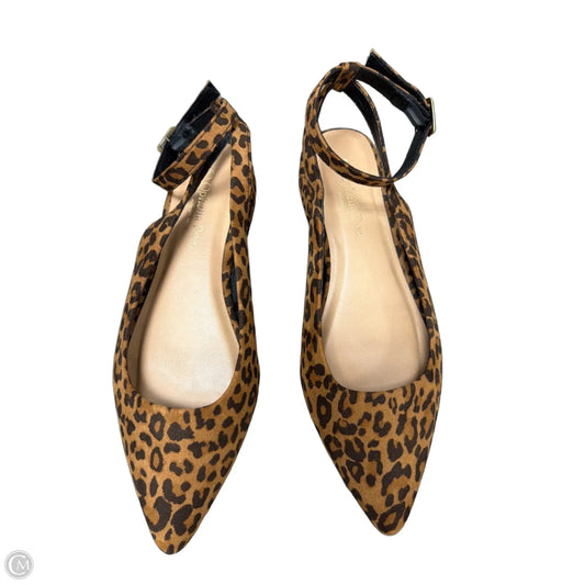 Shoes Flats By Ophelia Roe In Animal Print, Size: 7
