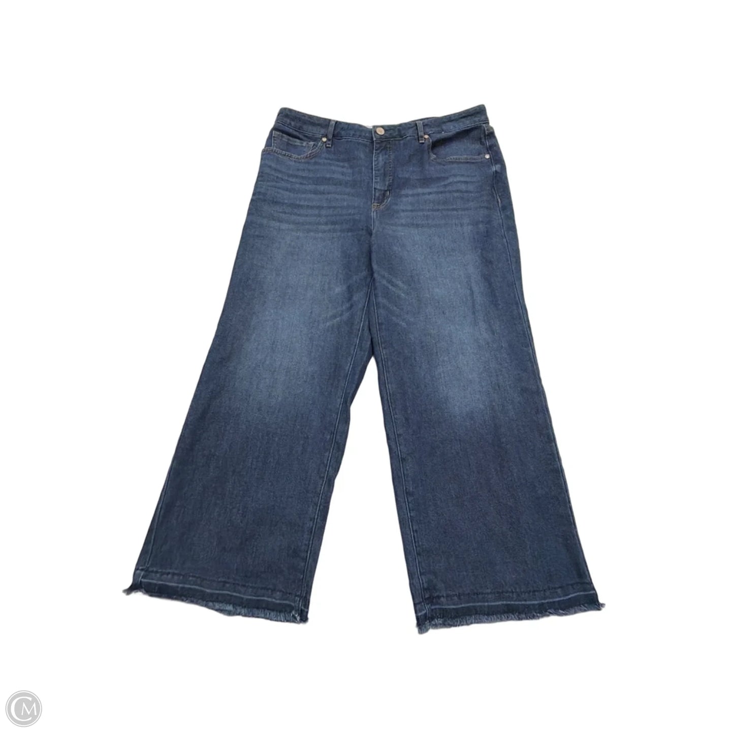 Jeans Wide Leg By Clothes Mentor In Blue Denim, Size: 10