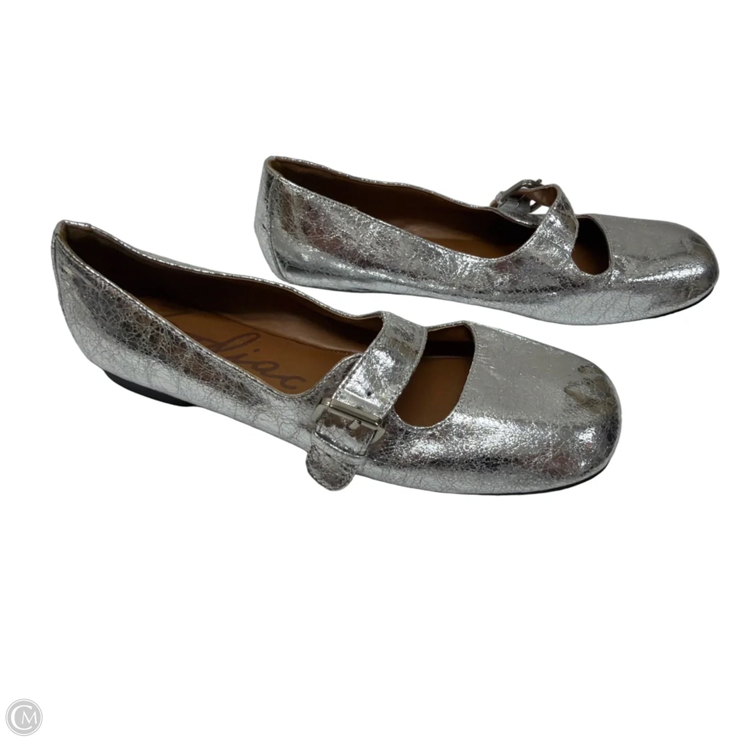 Shoes Flats By Zodiac In Silver, Size: 8