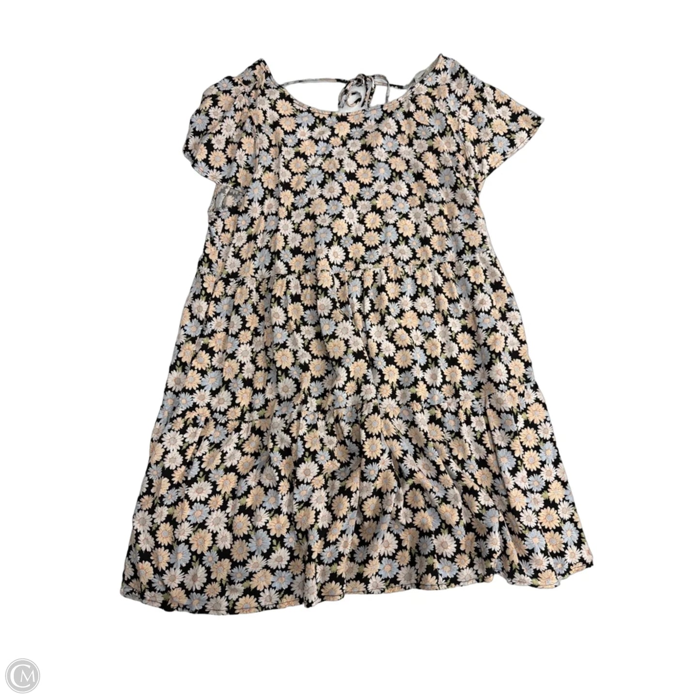 Dress Casual Short By Clothes Mentor In Floral Print, Size: 2x