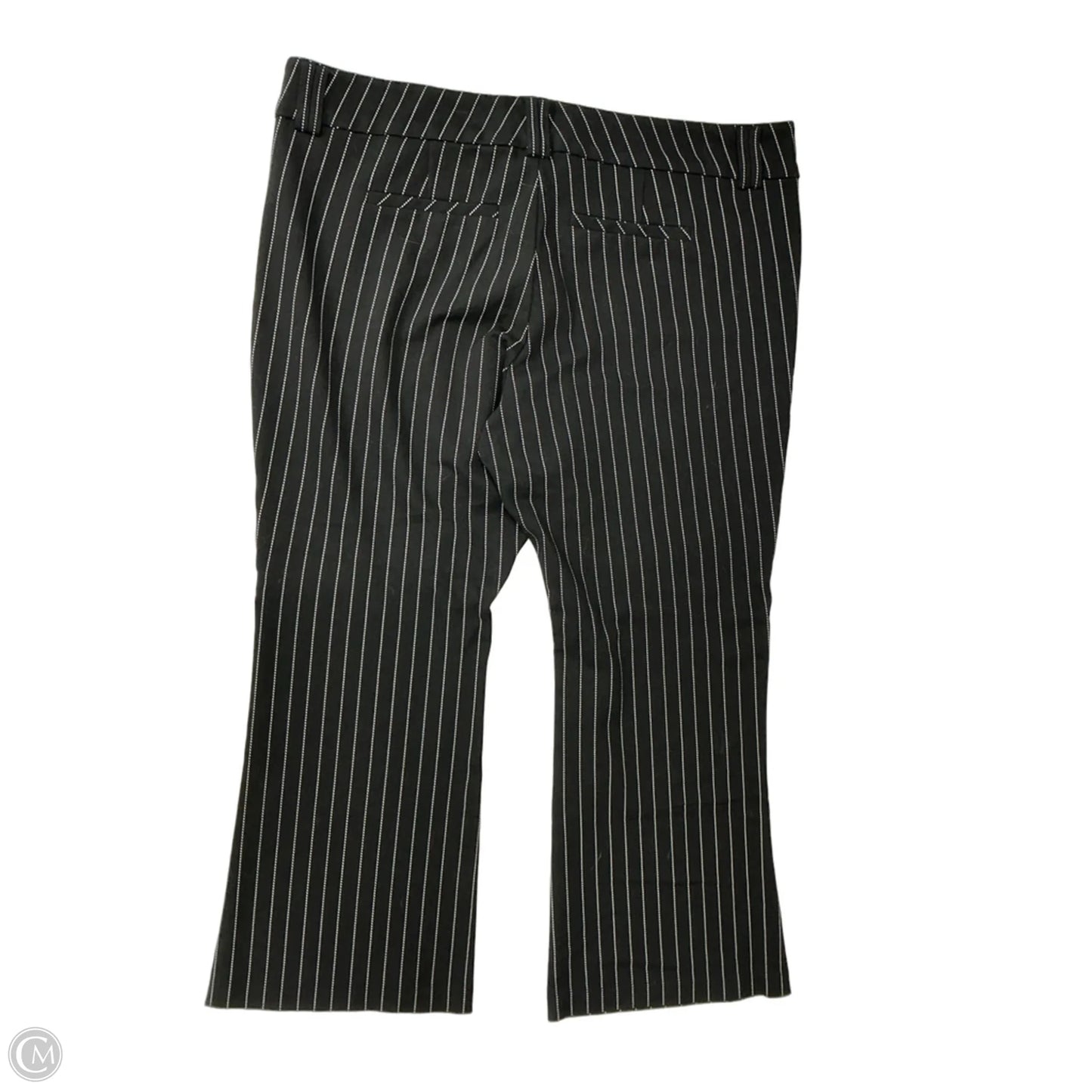 Pants Dress By Studio In Striped Pattern, Size: 22