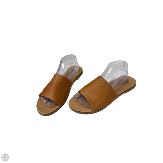 Sandals Flats By Steve Madden In Brown, Size: 10