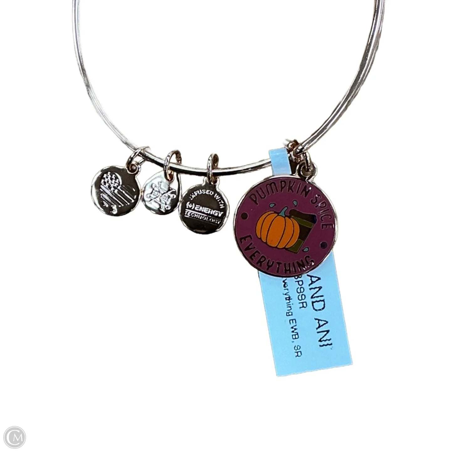 Bracelet Charm By Alex And Ani