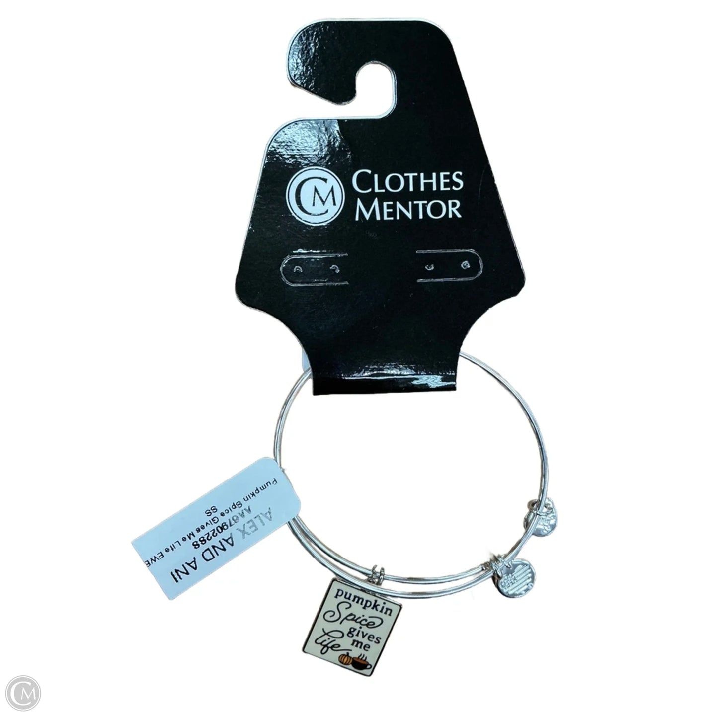 Bracelet Charm By Alex And Ani