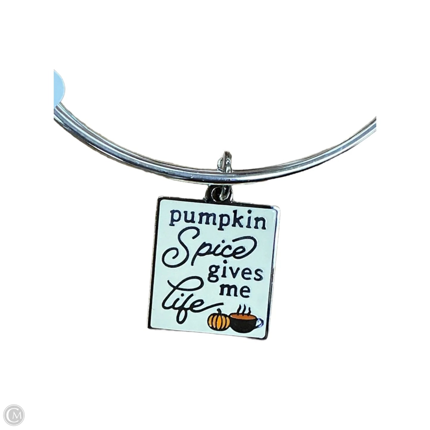 Bracelet Charm By Alex And Ani