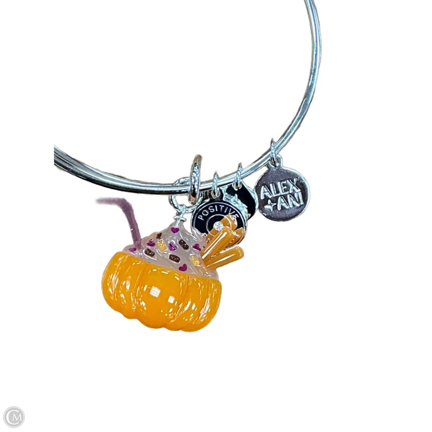 Bracelet Charm By Alex And Ani