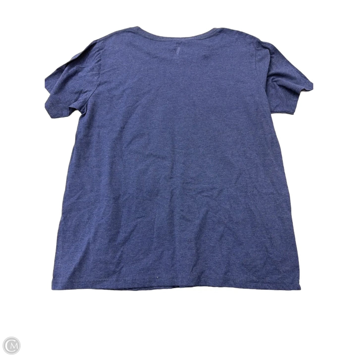 Top Short Sleeve By Clothes Mentor In Blue, Size: 2x