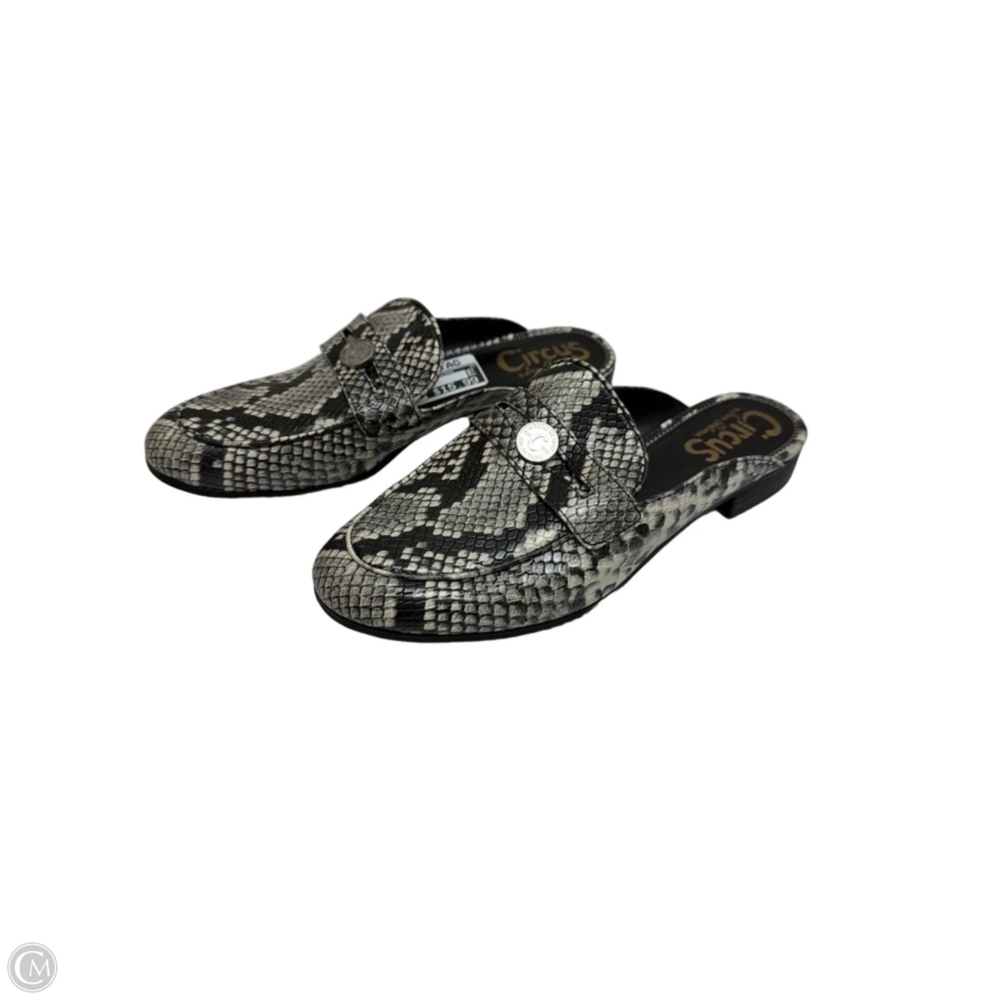 Shoes Flats By Circus By Sam Edelman In Snakeskin Print, Size: 8.5