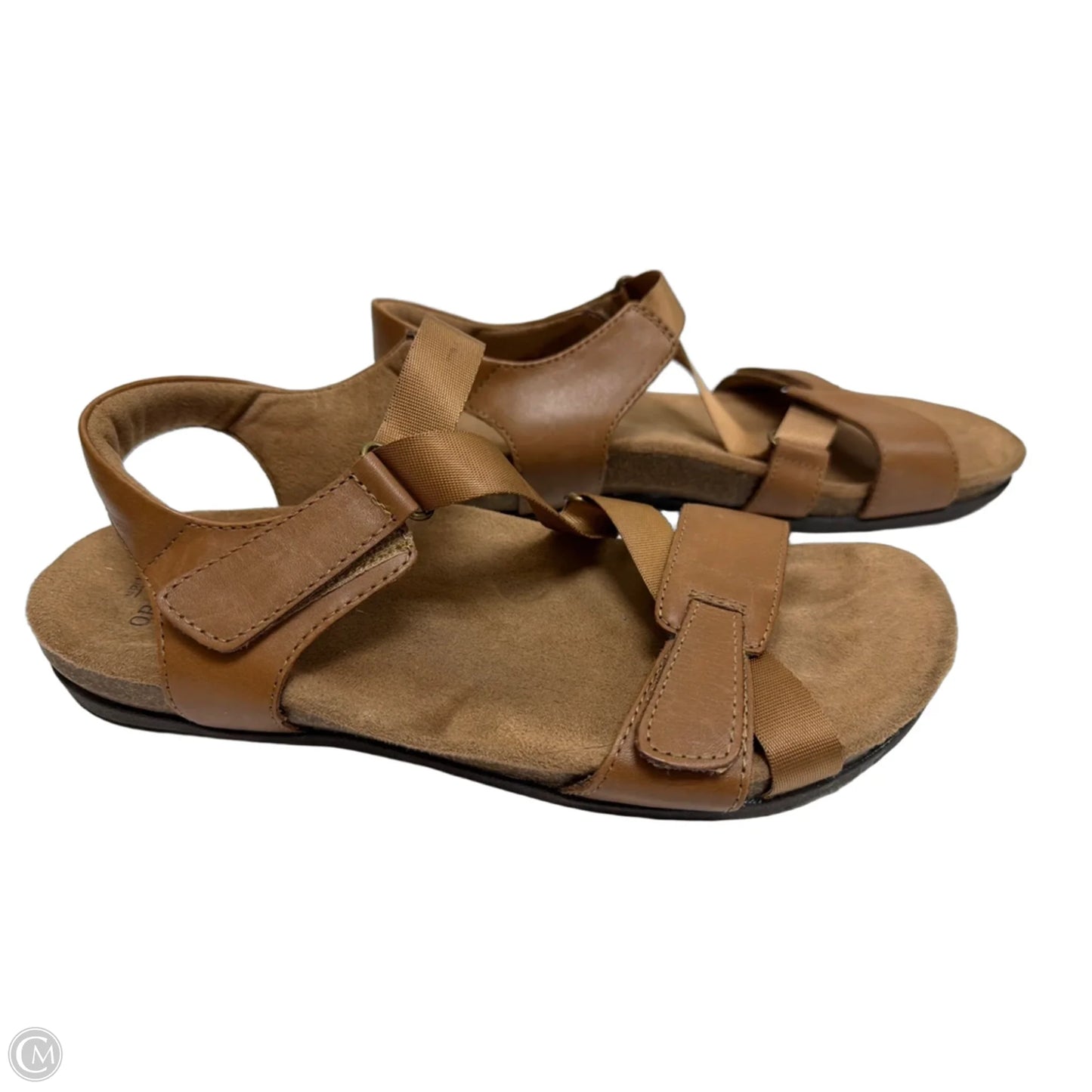 Sandals Flats By Earth Origins In Brown, Size: 10