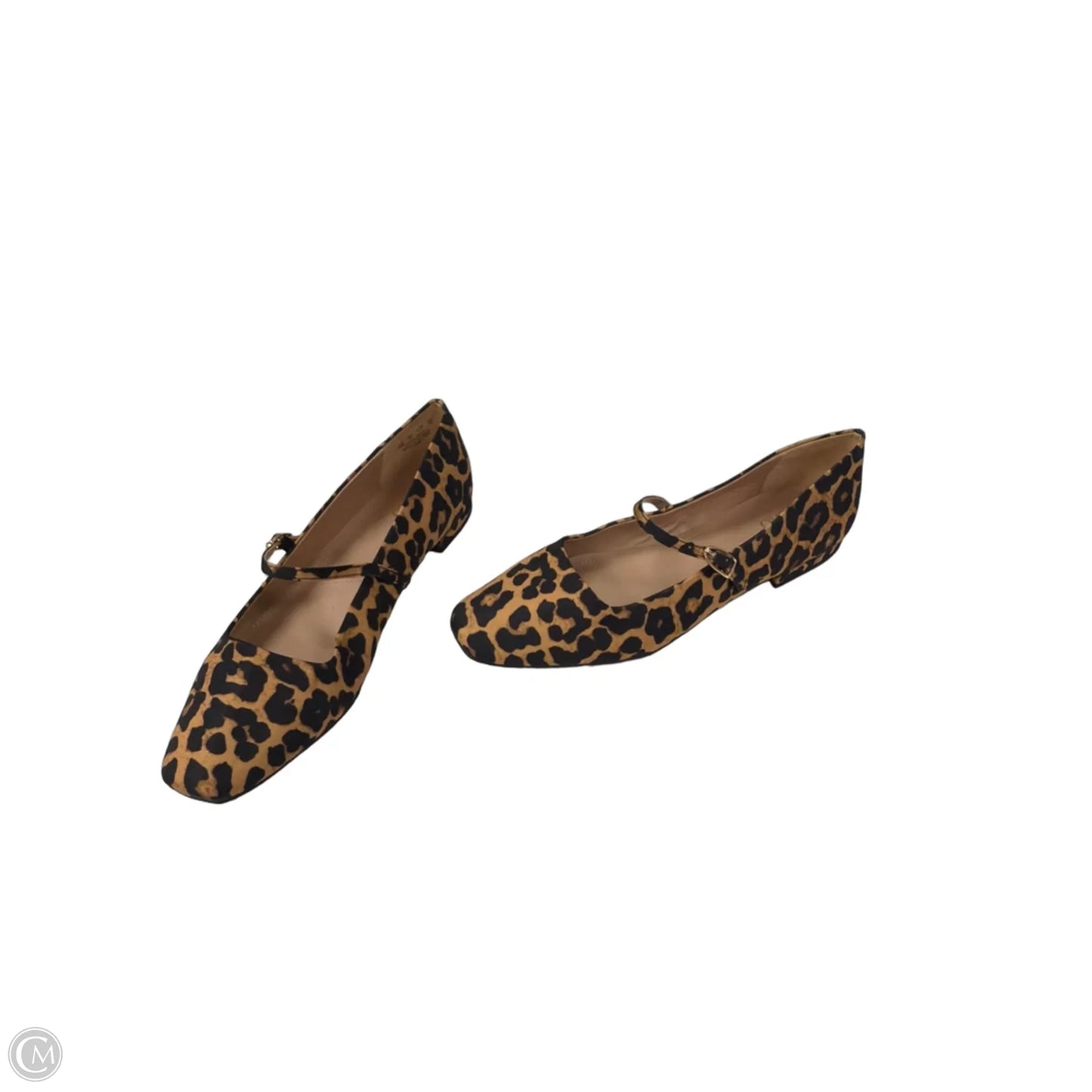 Shoes Flats By Franco Sarto In Animal Print, Size: 10