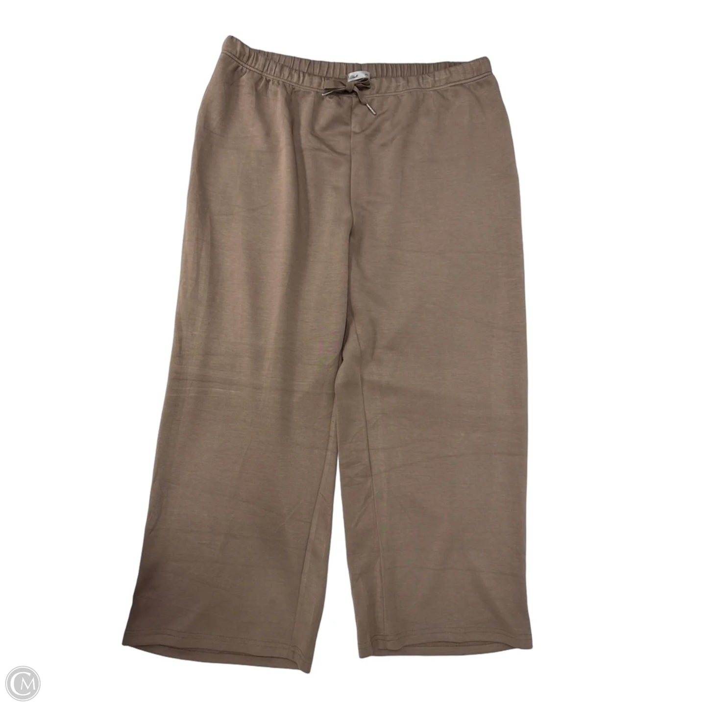 Pants Set 2pc By Clothes Mentor In Brown, Size: 3x