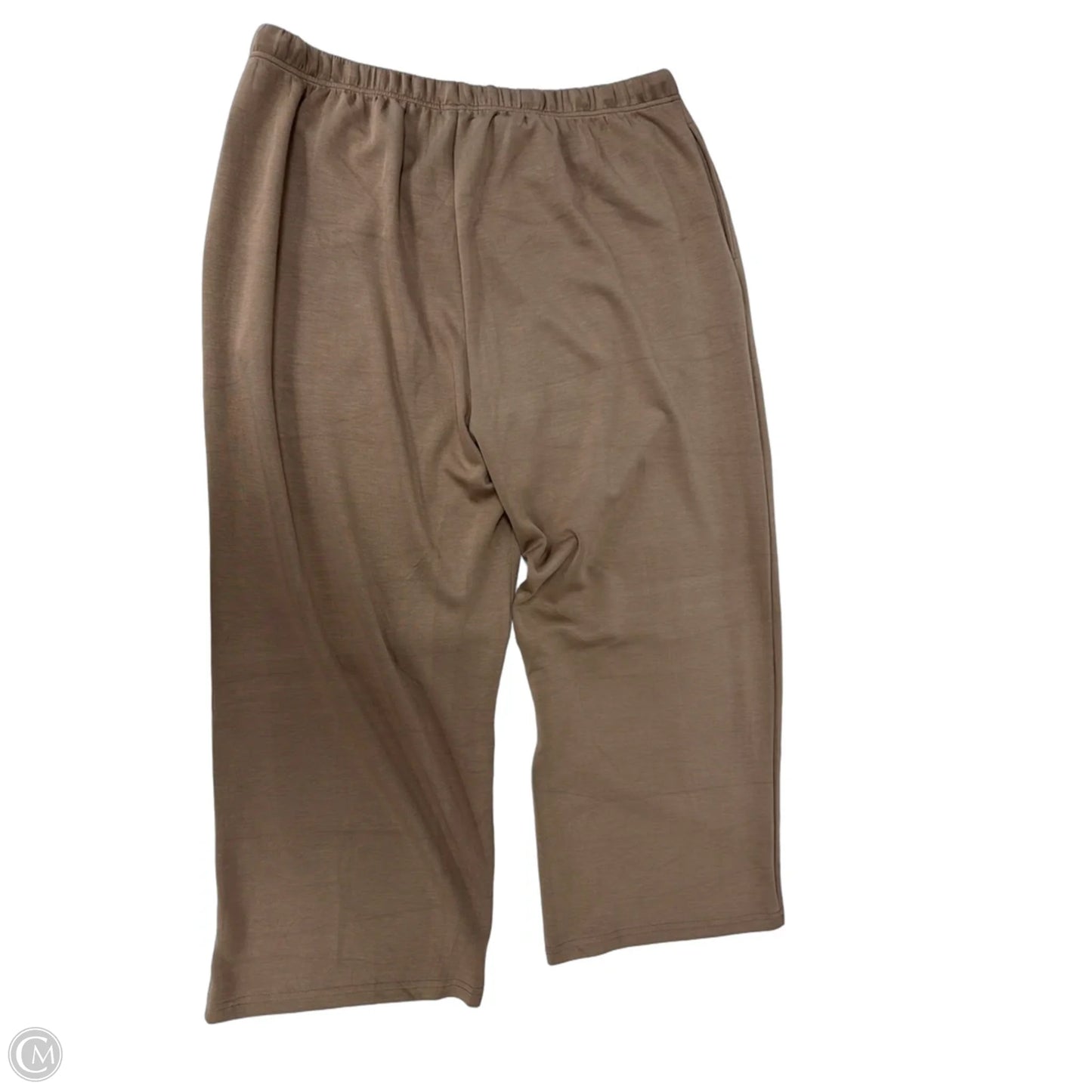 Pants Set 2pc By Clothes Mentor In Brown, Size: 3x