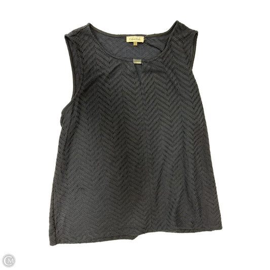 Top Sleeveless By Calvin Klein In Navy, Size: 2x