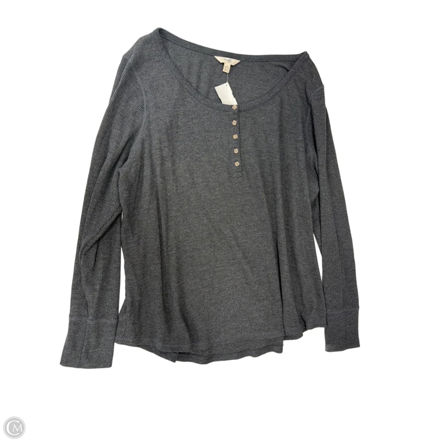 Top Long Sleeve By Terra & Sky In Grey, Size: 2x